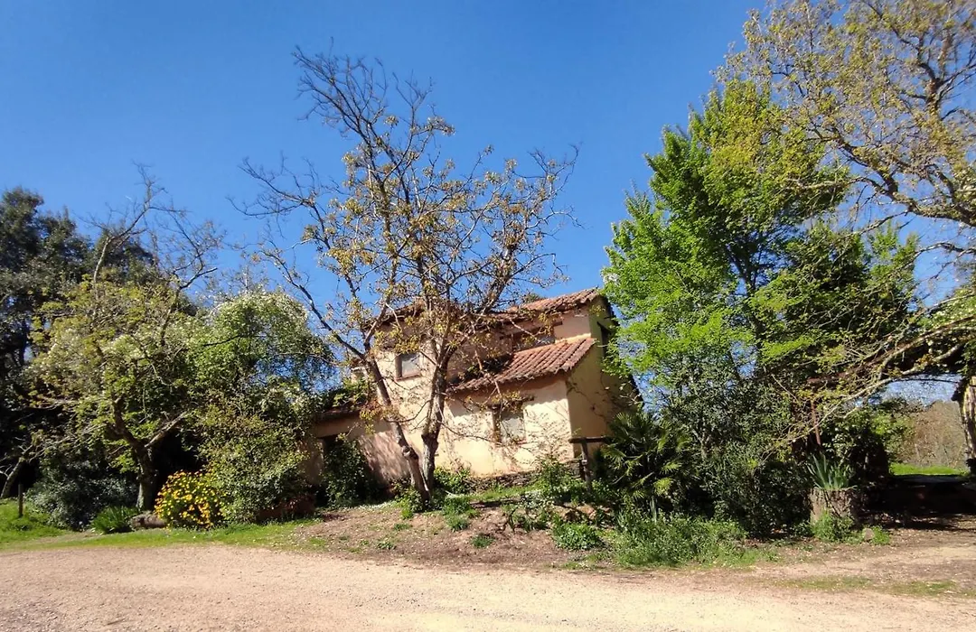 Casas Rurales Camino del Castaño-1